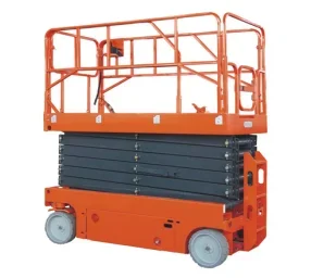 Weliftrich 300kg 500kg Lifting Platform For Aerial Work Automatic Platform With Fence