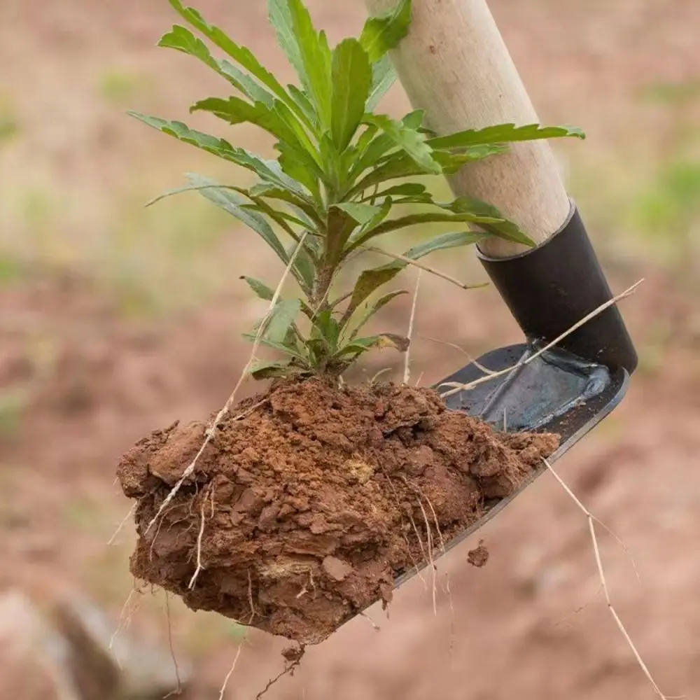 Verdikte Multifunctionele Tuinschep Duurzame Stalen Reinigingsschop 20/23/25/27/30Cm Onkruidverwijderaar Buitentuin