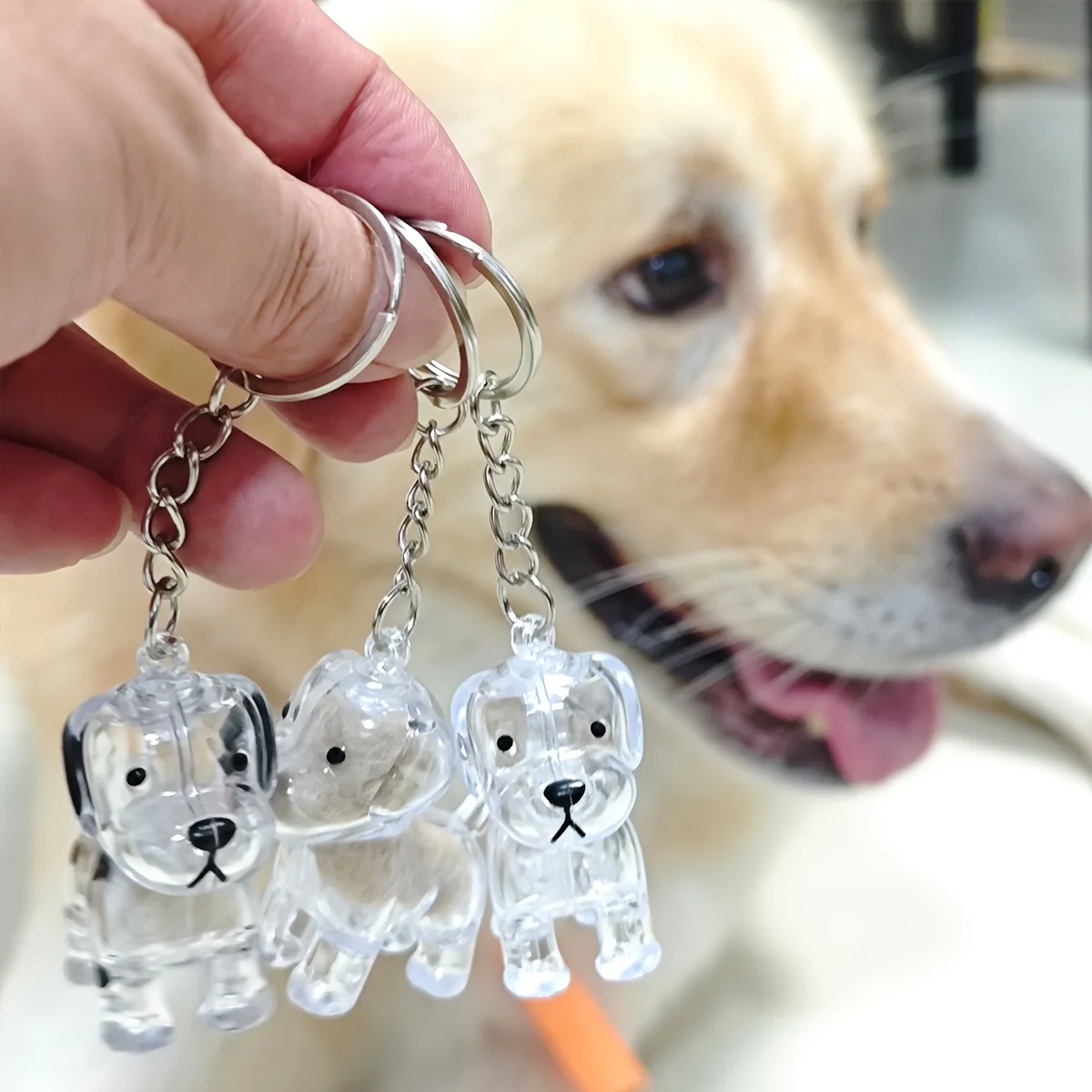 Capsule transparente de collecte de cheveux de chat/chien, porte-clés Kawaii commémoratif pour animaux de compagnie, chat, chien, accessoire pendentif à faire soi-même