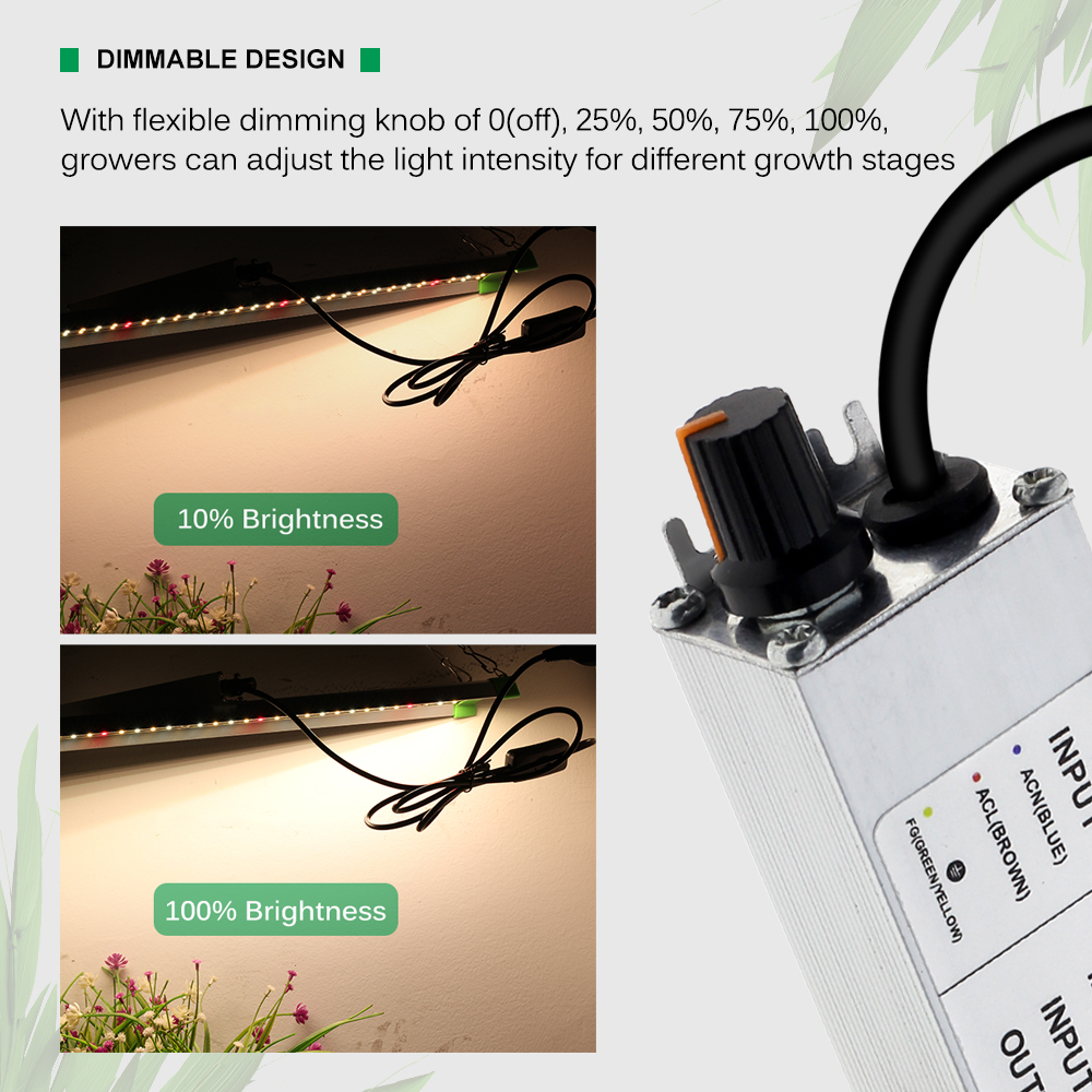 Vollspektrum-LED-Wachstumslicht LM281B mit hoher Helligkeit für Innengewächshäuser, Hydrokulturpflanzen, Gemüsesähen