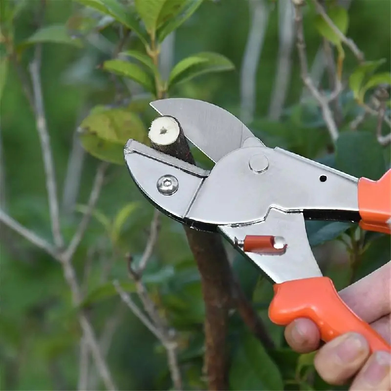 1 Pc SK5 Staal Snoeischaar Tuin Snoeischaar Schaar Fruitbomen Tuinieren Krachtige Snoeischaar Handgereedschap Tuin Accessoires