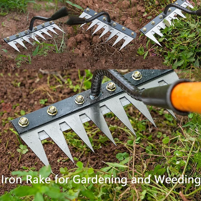 5/6/7/8 ฟัน 1PCS เหล็กคาร์บอน Garden Hand Rake สําหรับฟาร์มสวน Weeding เครื่องมือ Scarifier การเกษตรเล็บ Harrow โลหะ Harrow
