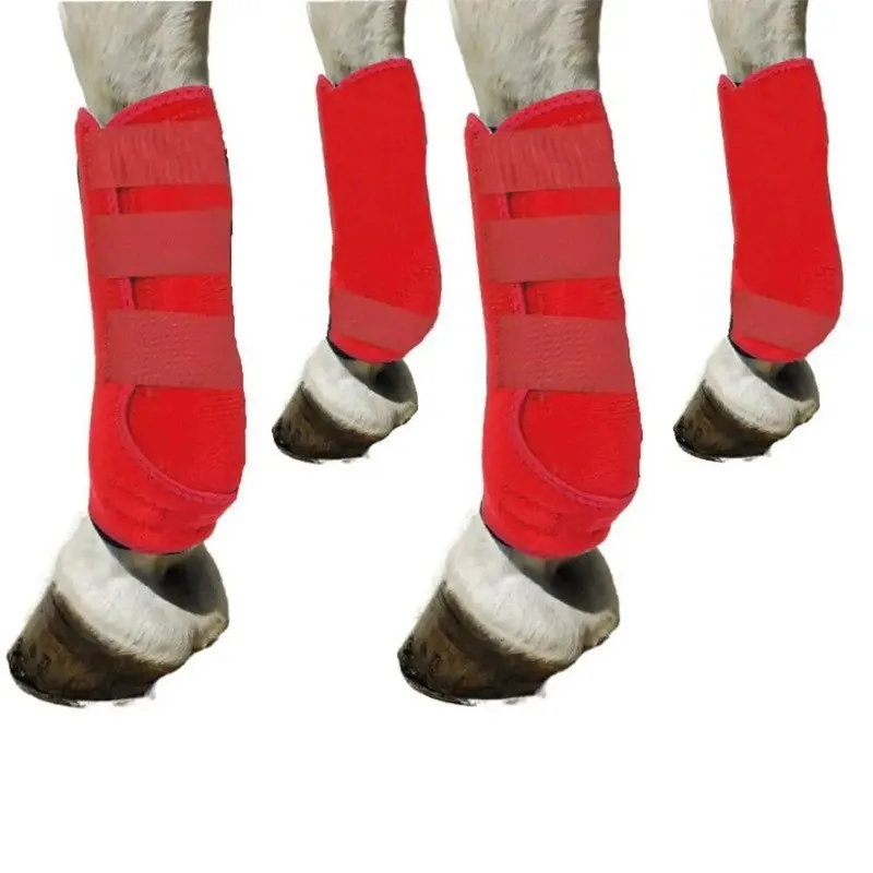 Protezione per le gambe dei cavalli contro urti e graffi Materiale per immersioni Ghette per cavalli Attrezzatura da corsa professionale Attrezzatura protettiva per cavalli