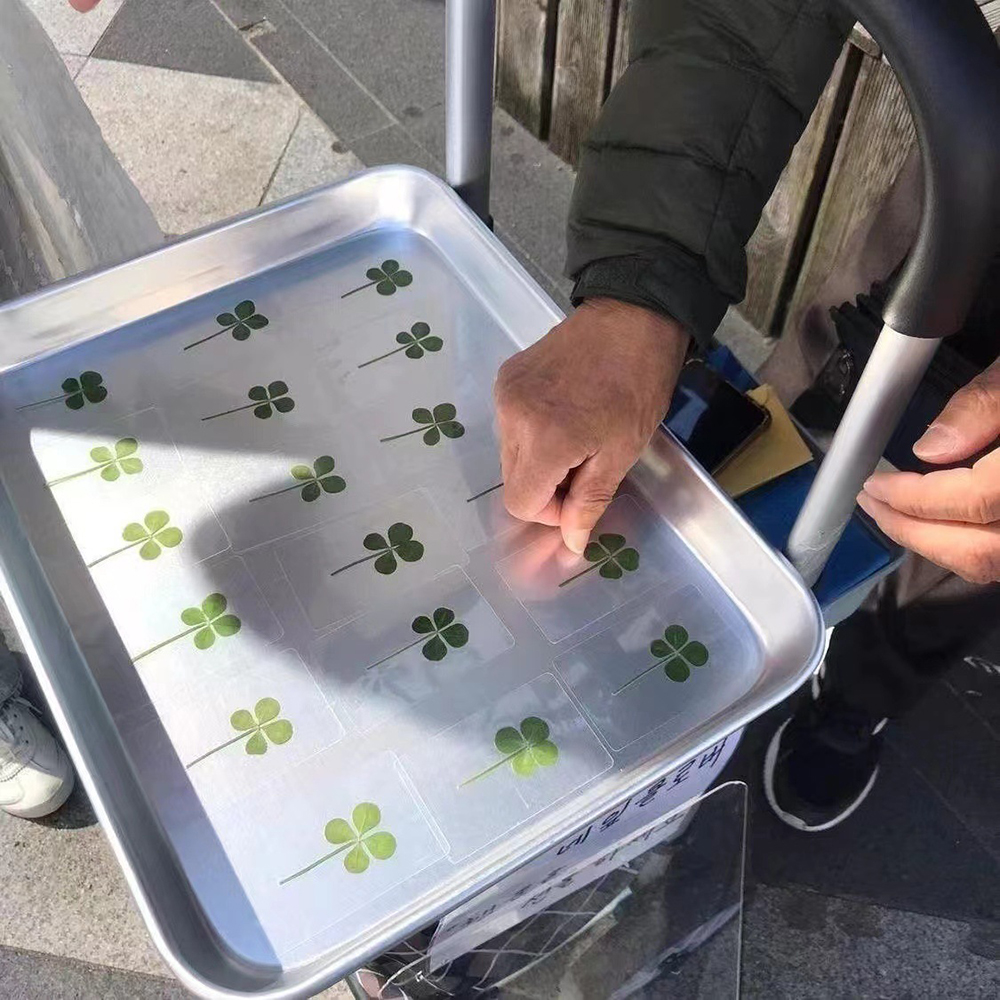 5PCS/10pcs Lucky Four-Leaf Clover Natural Original Grass Transparent Card Bookmark Wishing Simple Style Transparent Card