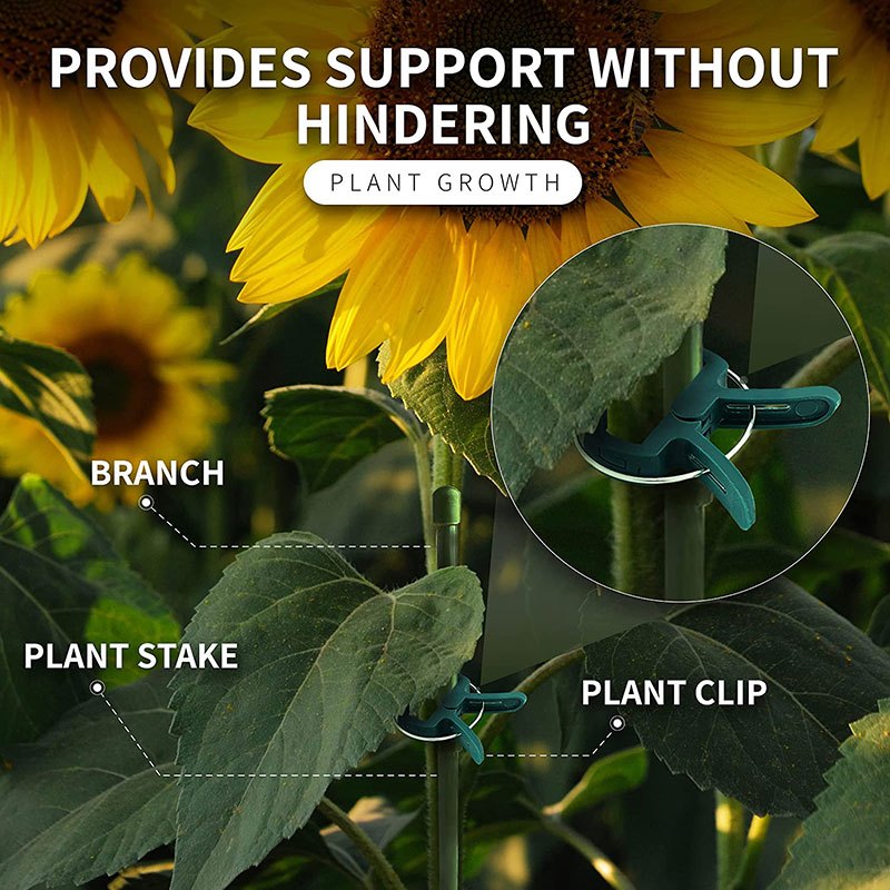 Clips fixes pour plantes, 20 pièces, support de serre de jardin réutilisable pour plantes fixes, vigne, fleur, semis, tige, fournitures de jardin