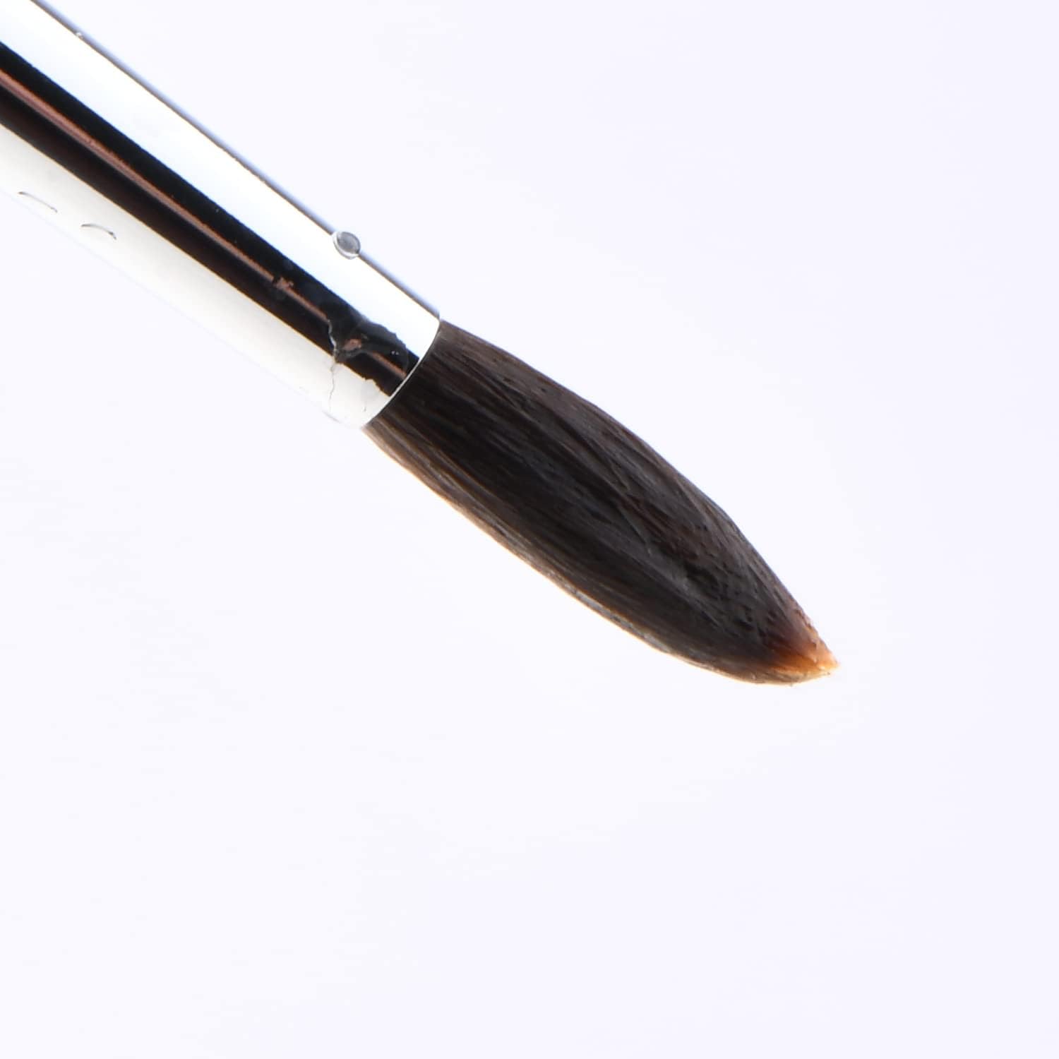 Sable Watercolur Paint Brushes-Kolinsky Water Colour Artist Paint Brush 6PCS Paintbrushes with Point Round Cat's Tongue Dagger