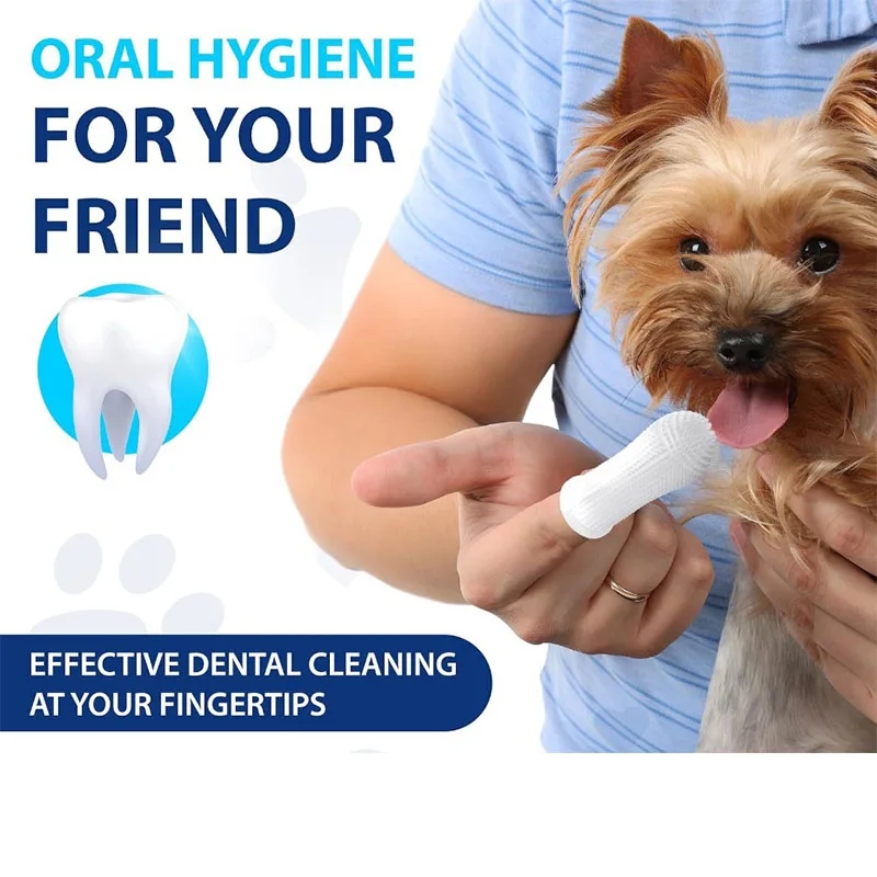 Interaktives Start training Katzen spielzeug kreative Kätzchen Mini Pompons Spiele Stretch Plüsch Ball Spielzeug Katze liefert Haustier Zubehör