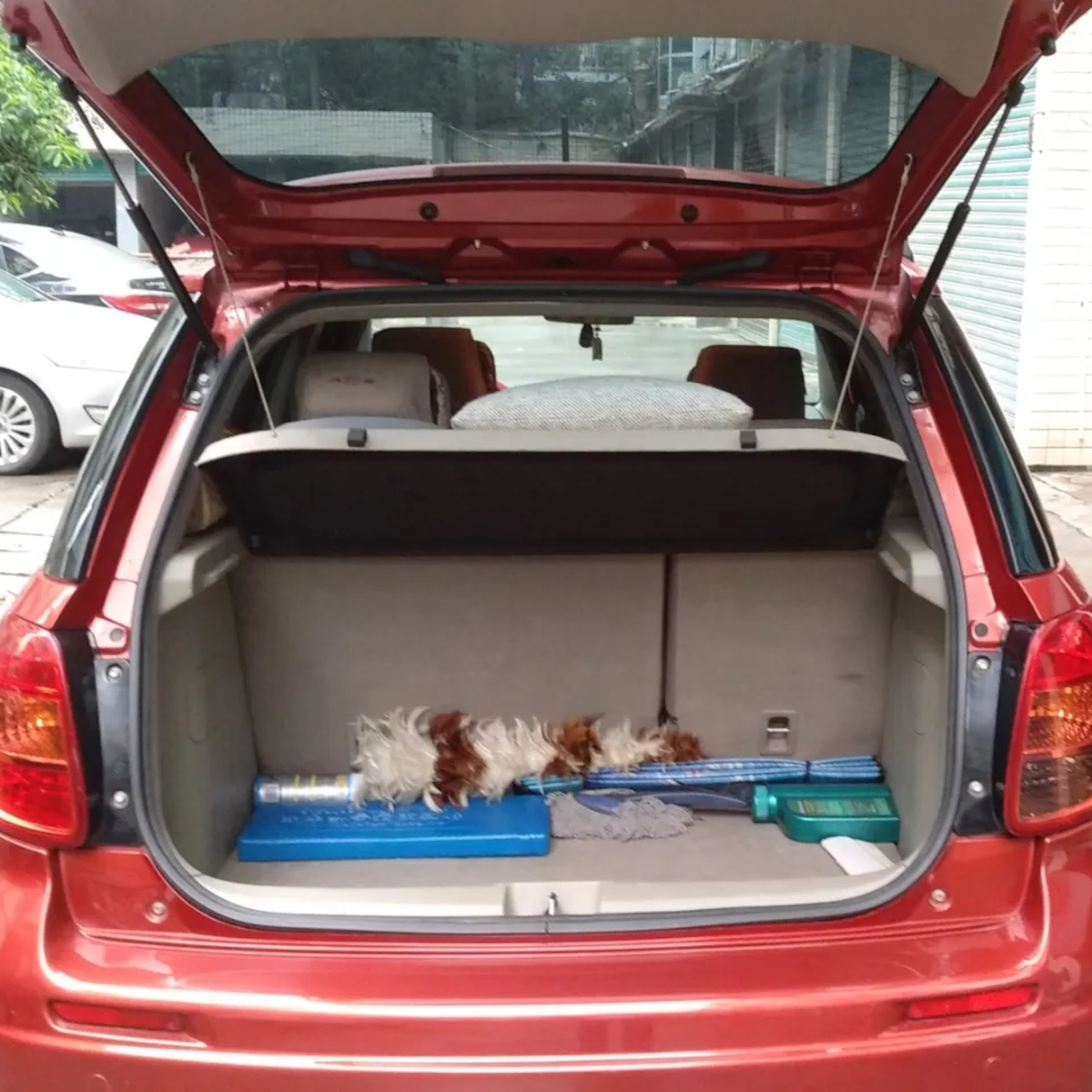 2Pcs Car Rear Trunk Boot Tailgate Gas Struts Lift Support Rods Dampers 81850-61M00 for Suzuki SX4 S-Cross 2013-2021