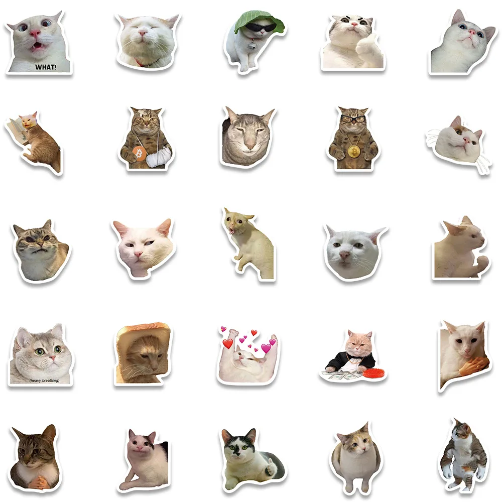 Engraçado gato meme animais adesivos kawaii gatos graffiti decalques scrapbooking notebook bagagem portátil skate adesivo brinquedo