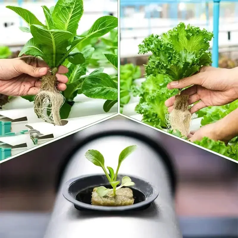 50/100/300pcs 25x25mm Stonewool Hydroponic Grow Media Cubes Plant Cubes Soilless Substrate Seeded Rock Wool Plug Seedling Block