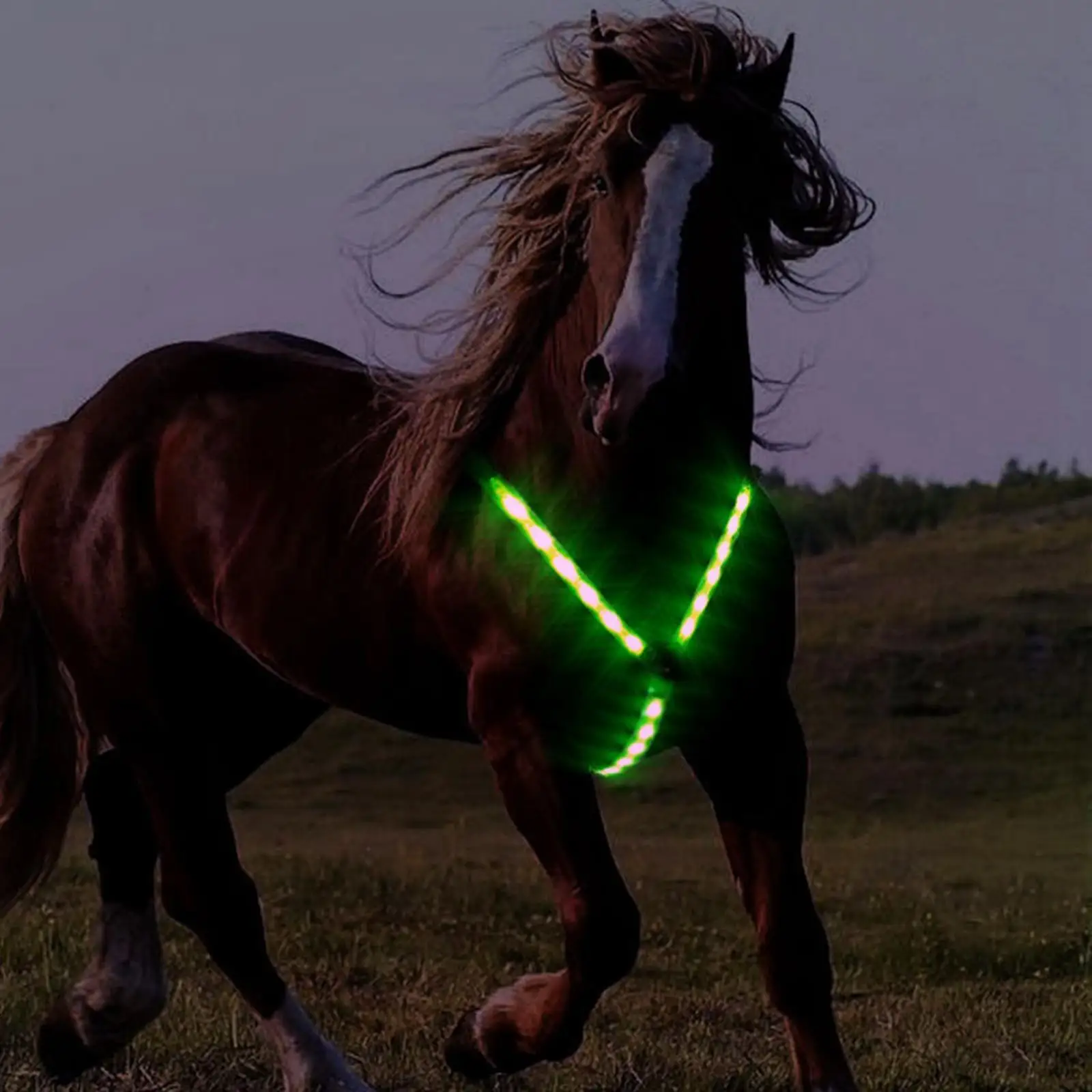 LED-Brustpanzerhalsband für Pferde, batteriebetrieben, Sicherheitsausrüstung für Reitsport, schützendes, verstellbares Gurtband, Brustgurt für die Pferdeshow