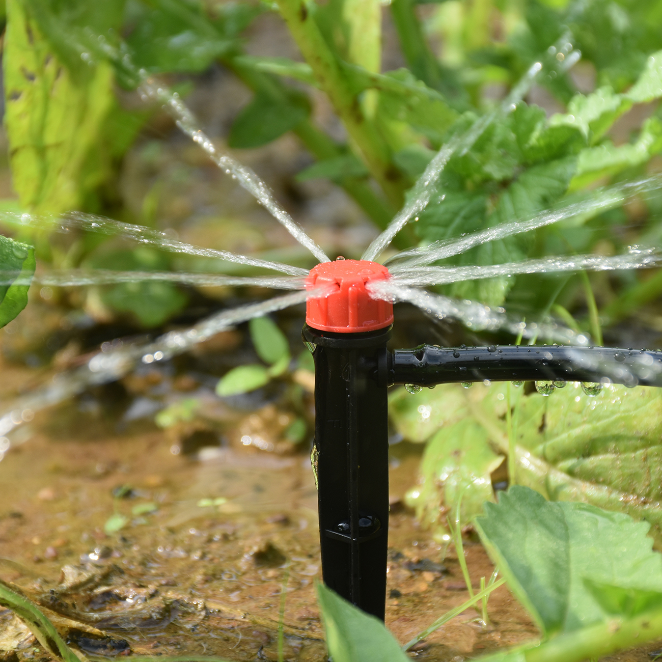 KESLA Greenhouse Drip Irrigation 1/4'' 13cm Sprinkler Garden Automatic Watering System Kit for Bonsai Pot Plant Flower Vegetable