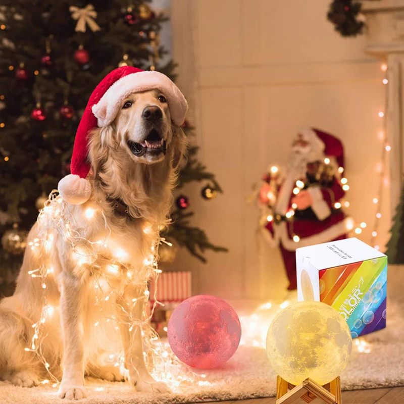 Luz LED nocturna ZK20, lámpara de Luna con estampado 3D, recargable, cambio de Color, luz 3D táctil, lámpara de Luna, luces para niños, lámpara de noche para el hogar