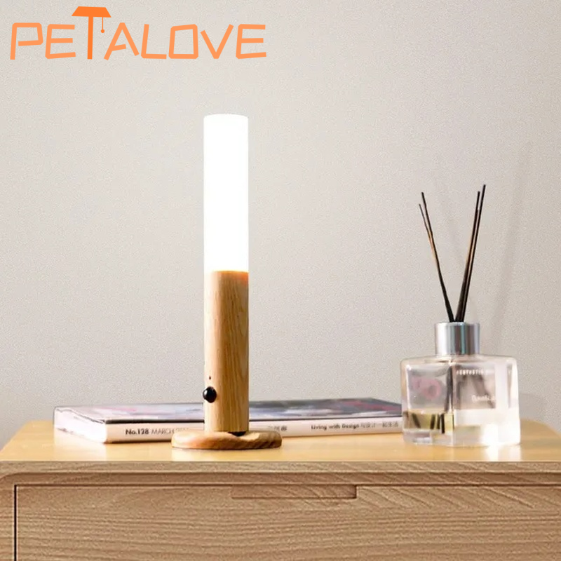 Luce notturna intelligente a induzione del corpo umano da 1 pezzo, lampada da parete per armadio corridoio ricaricabile a LED, induzione da parete per WC domestico