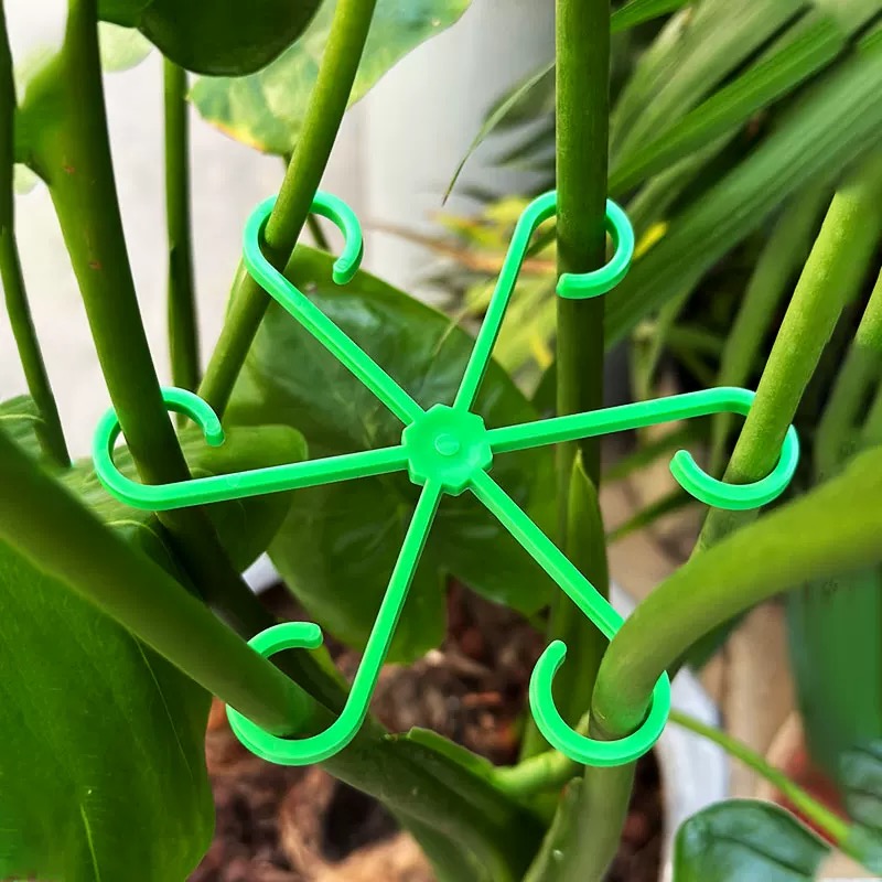 ดอกไม้StemสนับสนุนStakesปีนเขาHouseplantขาตั้งกรอบสวนพลาสติกไม่มีStake Trellisในร่มHolder Rack Hoops