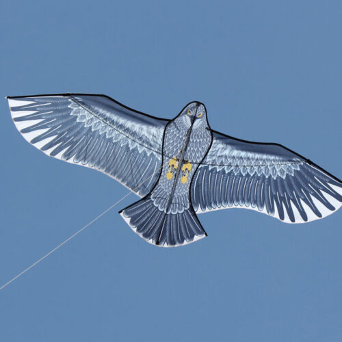 NEU eingetroffen: Outdoor Fun Sports 59-Zoll-Adlerdrachen mit Griff und Leine für Kinder oder Erwachsene, gut fliegend