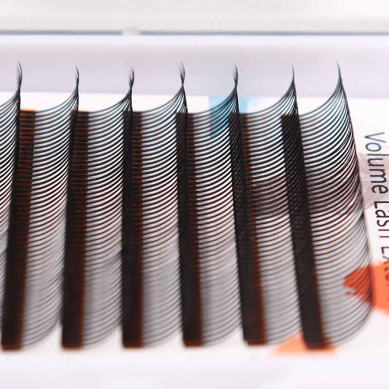 MARIA 5D Flora Lashes Easy Fan Eyelash Extensions Wholesales  Premade Volume 12 Rows W Style Natural Soft Private Logo