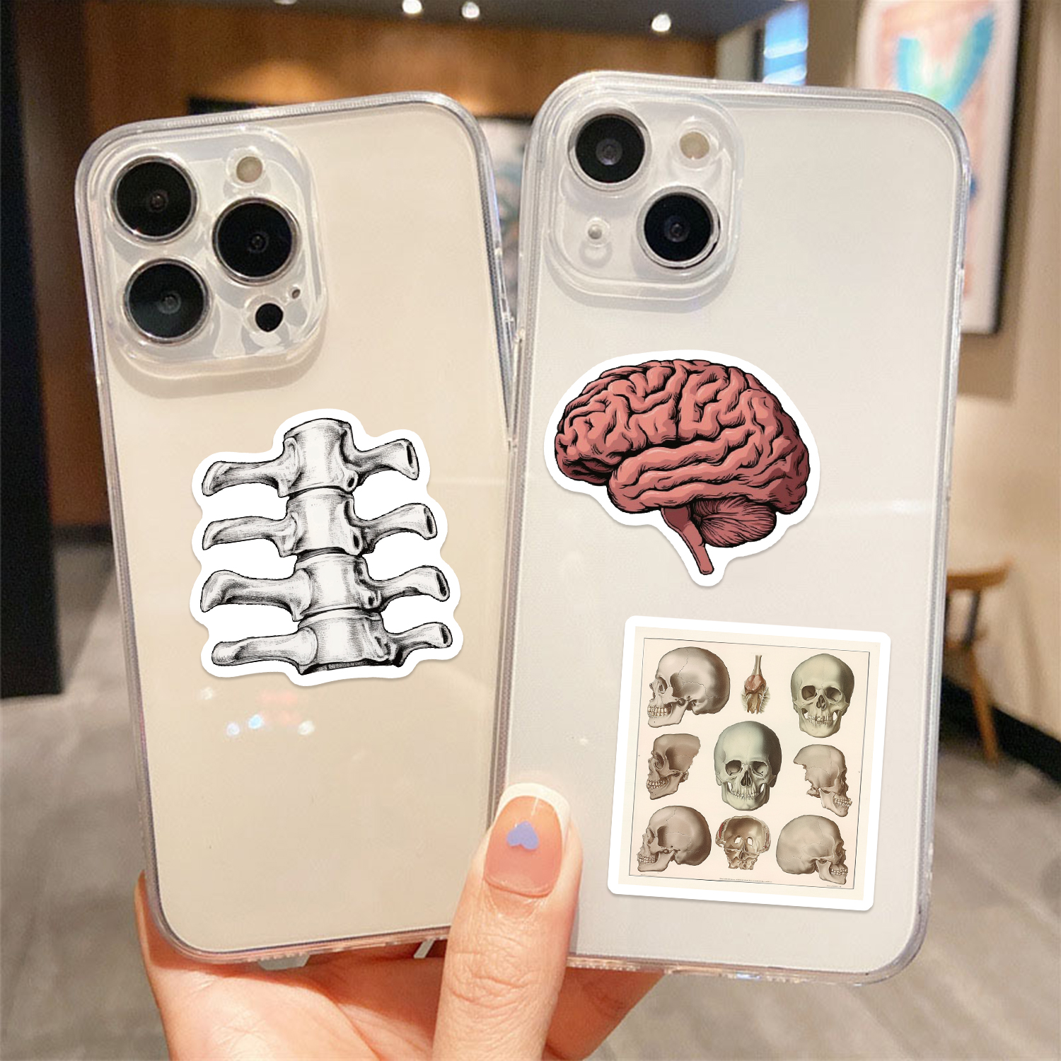 レトロな科学解剖学ステッカー 50 枚 防水 PVC デカール ラップトップ スクラップブック ギター 電話など用