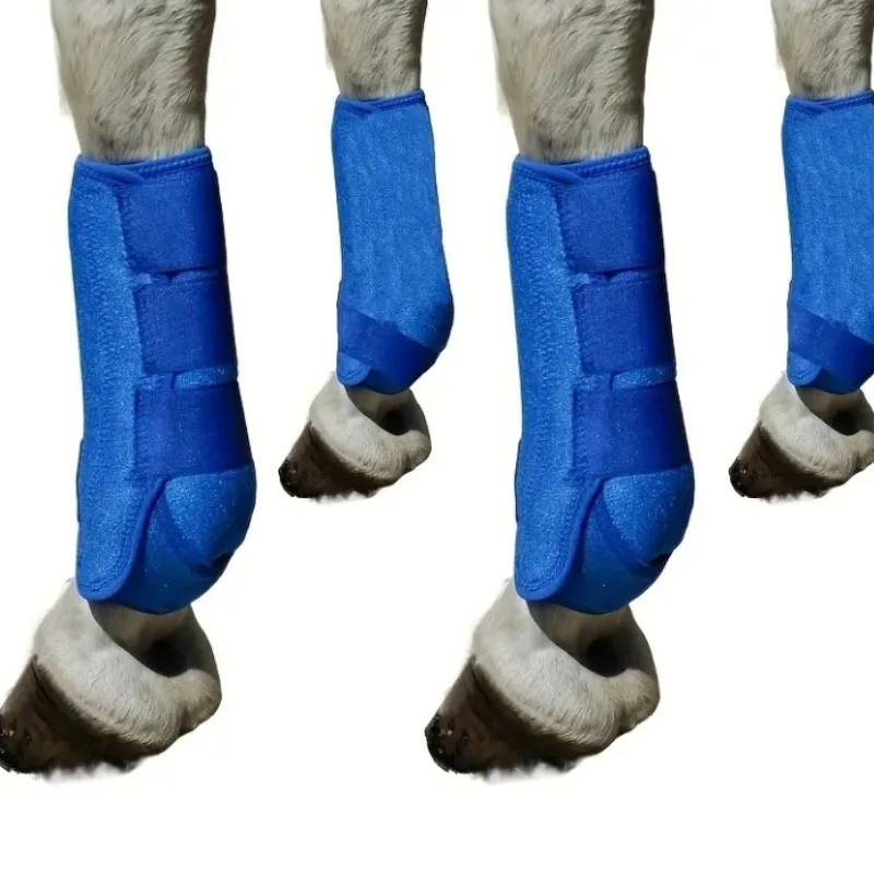 Protezione per le gambe dei cavalli contro urti e graffi Materiale per immersioni Ghette per cavalli Attrezzatura da corsa professionale Attrezzatura protettiva per cavalli
