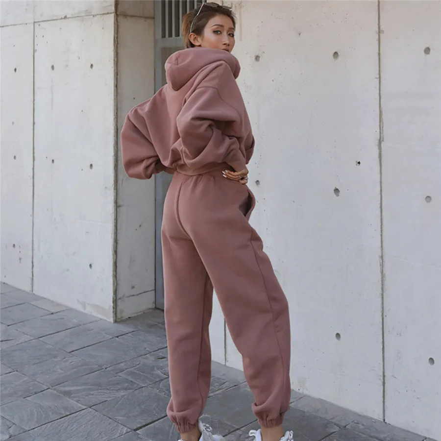 Conjuntos deportivos de dos piezas para mujer, pantalones con capucha, pantalones con capucha de Color sólido, trajes, sudadera, traje, chándal de otoño e invierno 2024