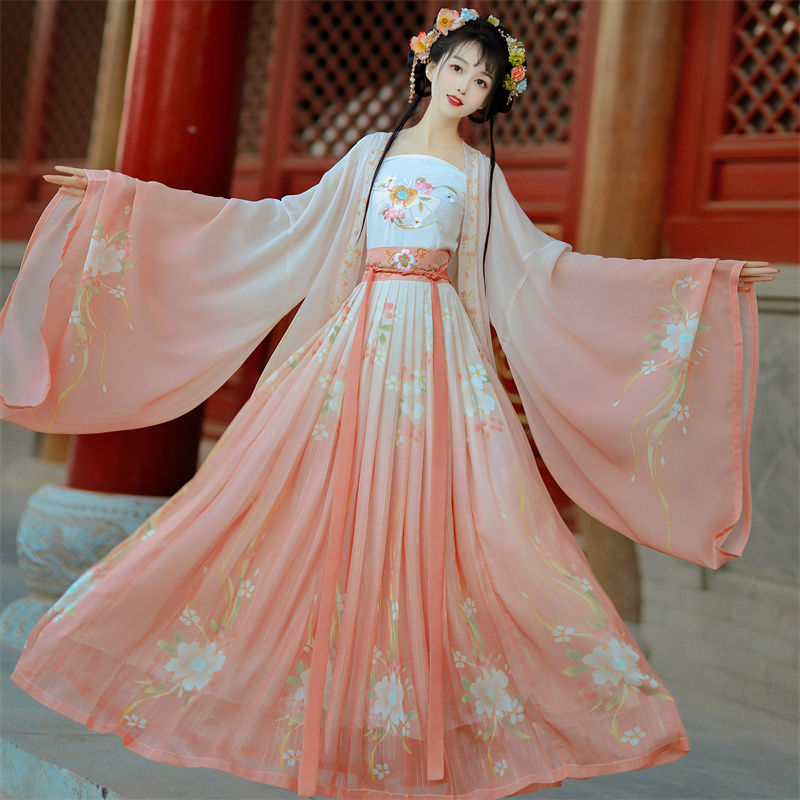 Traditionelle Frauen Song-Dynastie Stickerei Druck Hanfu Kleid alten chinesischen Stil Bühne Kostüm Tanz Hanfu Prinzessin Outfits