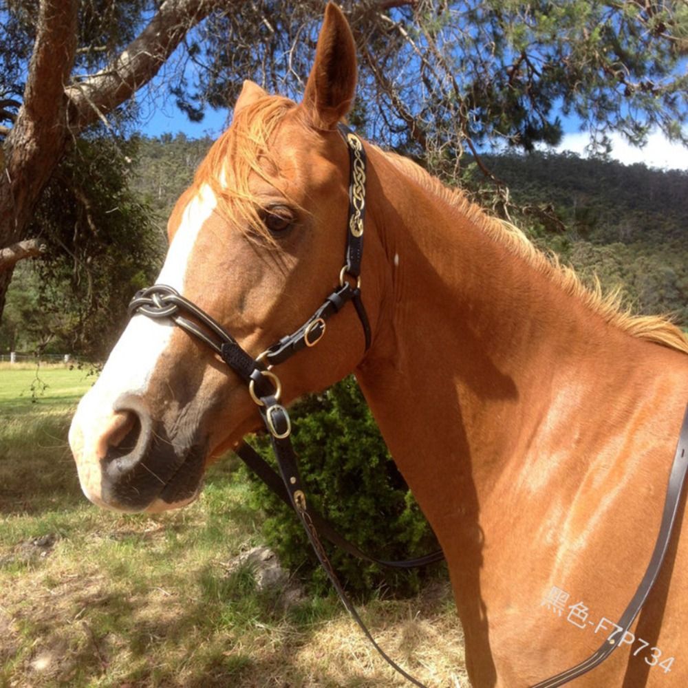 PU หนังม้า Bridle Halters หัวเข็มขัดโลหะสบายม้าผ้าม่านปรับปกป้องหนังม้า Horse Rein Harness