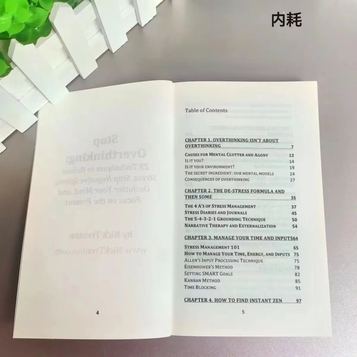 Stoppen Sie das Überdenken in englischem Taschenbuch in englischem Taschenbuch