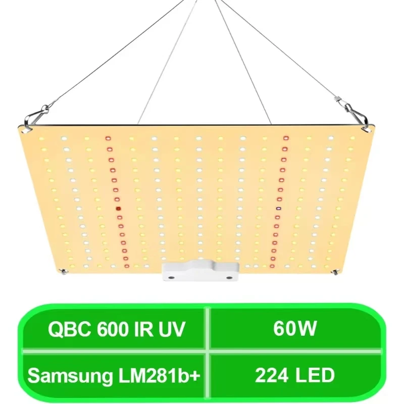 600W LED Grow Light LM281B EU Plug Full Spectrum Quantum Board Phytolamp do wewnętrznej lampy do uprawy kwiatów warzyw i kwiatów w szklarni