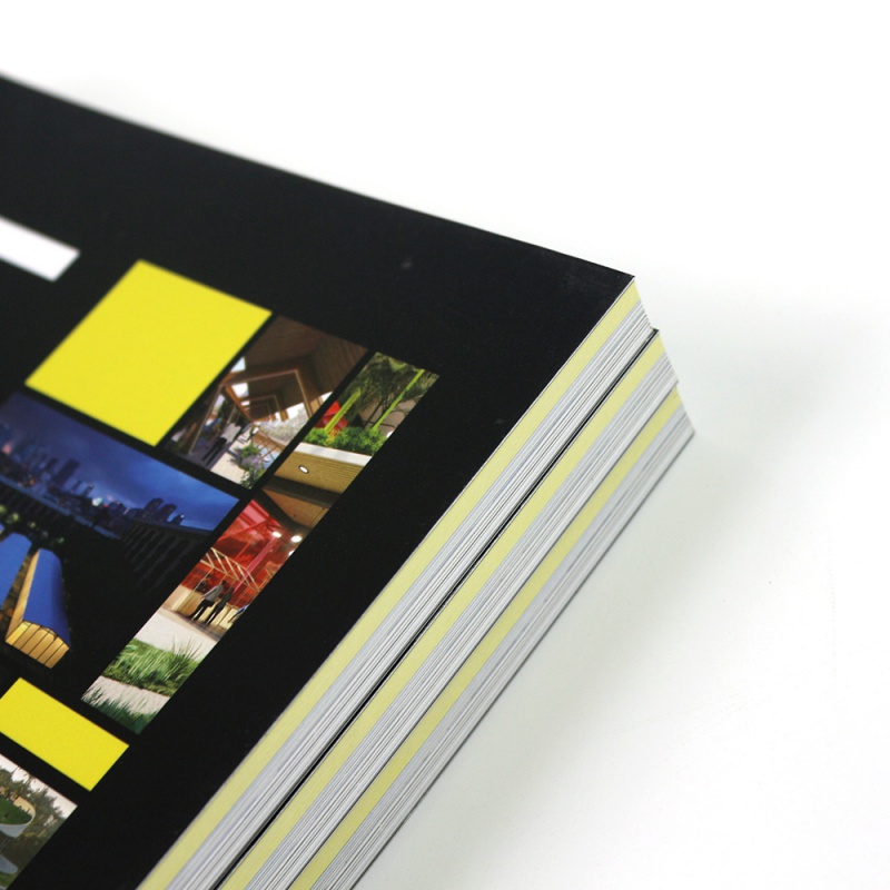 Personalizado Brochura Livros e Catálogo Livro Impressão, Custom