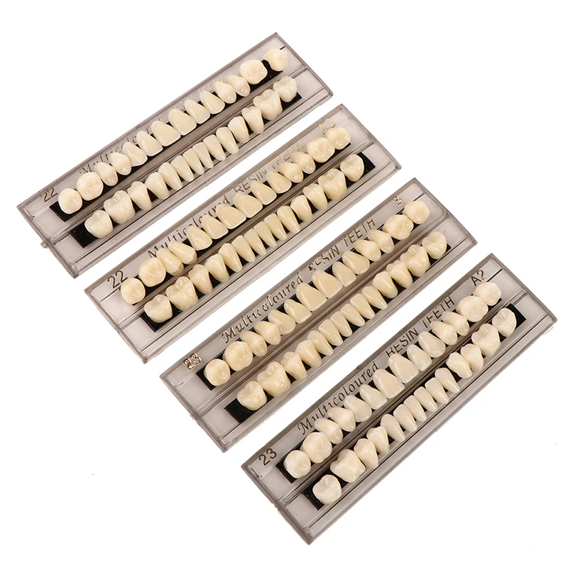 28ฟันเรซิ่นฟันปลอมฟันปลอม Comparator กระจกทันตกรรมฟอกสีฟันทันตกรรมแผ่น Research ทันตกรรมการศึกษารุ่น
