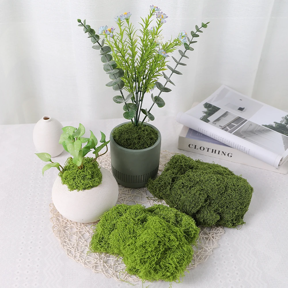 30/50/100g Artificial Green Plants Moss Grass Home Living Room Garden Decoration Mini Landscape Fake Flower DIY Crafts