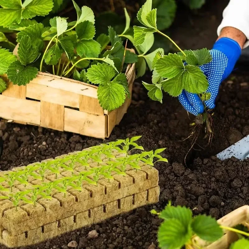 Sponge Block Starter Plugs Rock Wool Grow Cubes Soilless Substrate Seeded Planting Spong Plug Seedling Block Garden Supplies