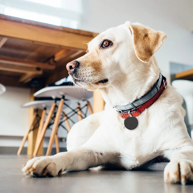 GPS Tracker Device Anti-Lost Reminder For Pet Kids Bag Key Wallet Smart Bluetooth Connected IOS/ Android App Finder Locator