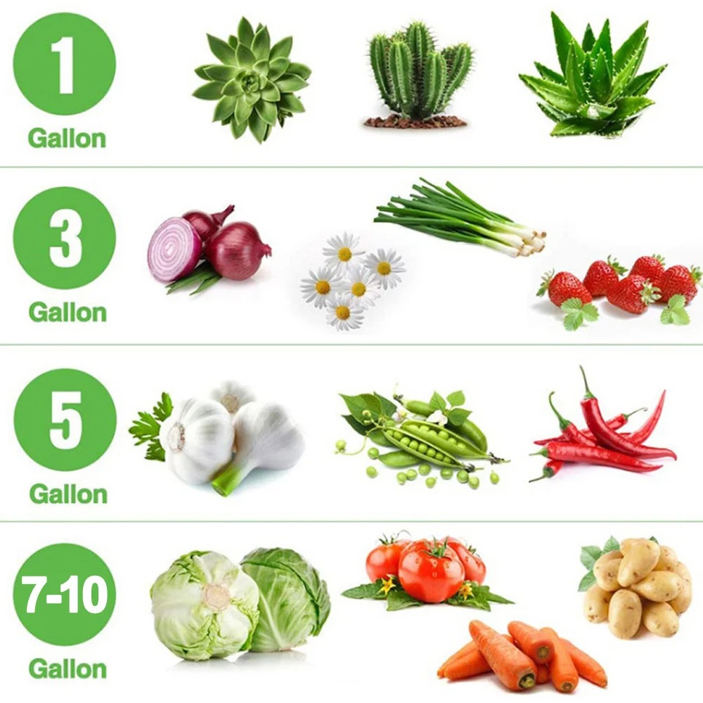 3 sacos de vegetais/flor/plantas dos pces 1 galão engrossado não-tecido crescer sacos vasos de tecido de aeração com alças