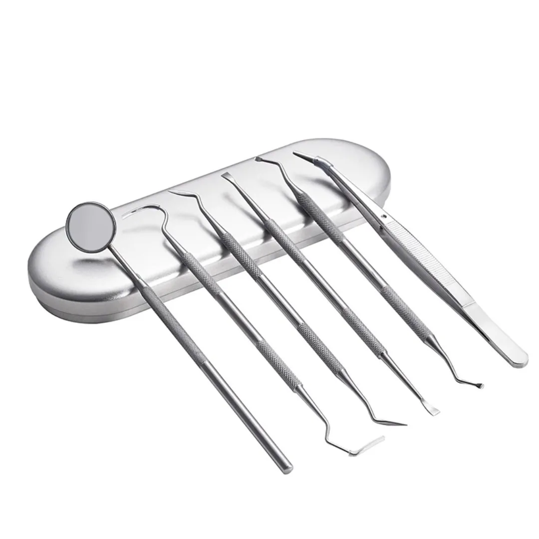 Kit d'outils de nettoyage dentaire en acier inoxydable, miroir, Double sonde, houe faucille, soins professionnels pour dentiste, Instruments de nettoyage des dents