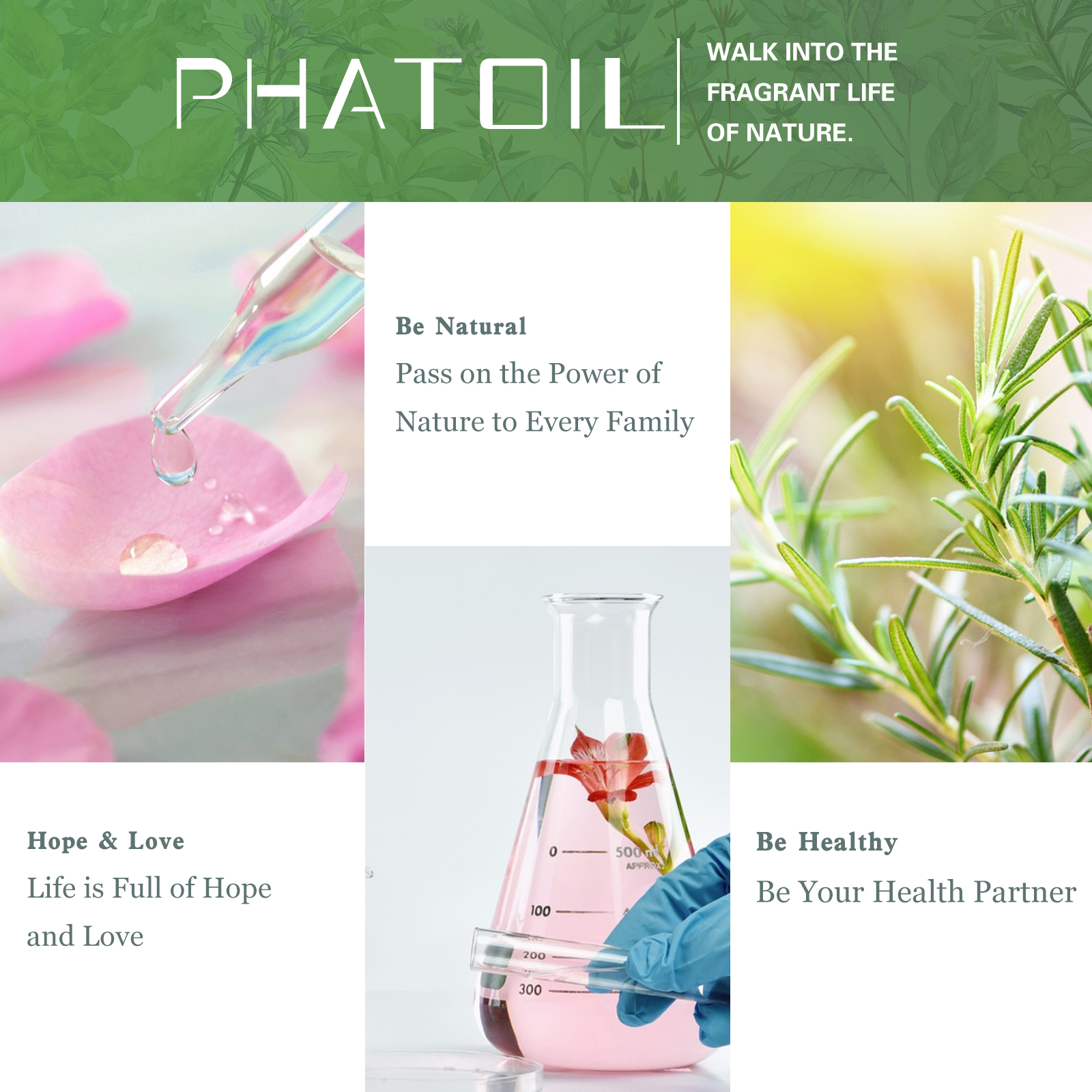Aceite aromático de flor de fruta pura, fragancia para fabricación de jabón de vela, fresa, Mango, pasión, almizcle, plátano, aceites de coco con cuentagotas, 10ml