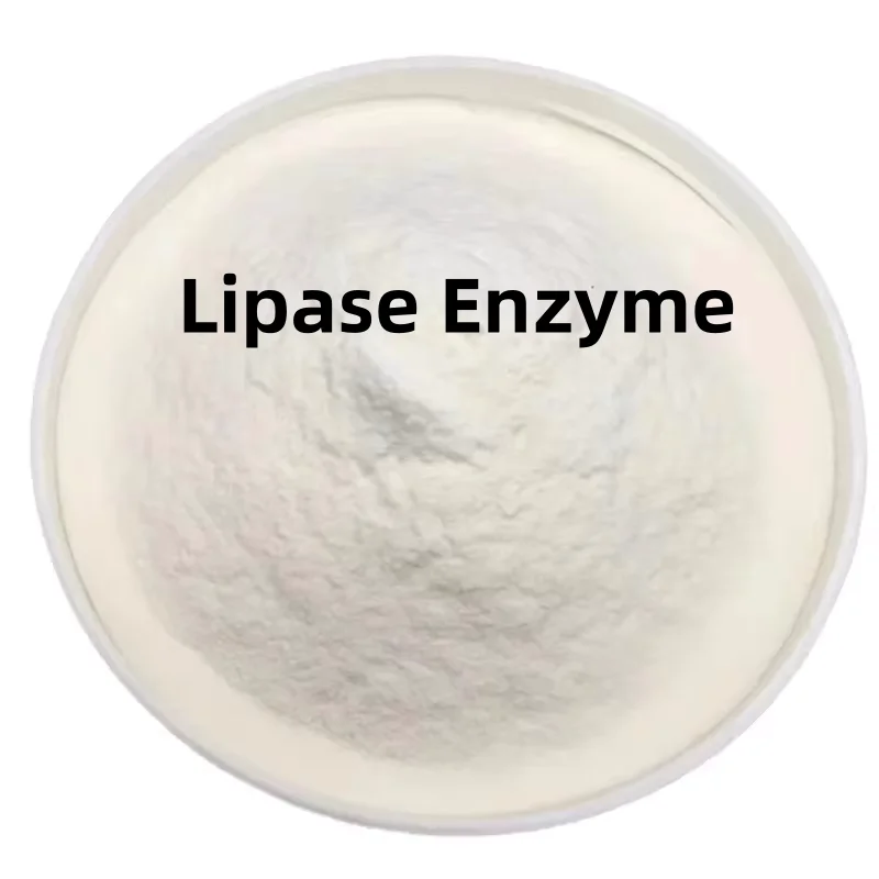 Enzima de lipase de calidad alimentaria, vente en gros en vrac, meilleur prix, CAS 9012, 54-8