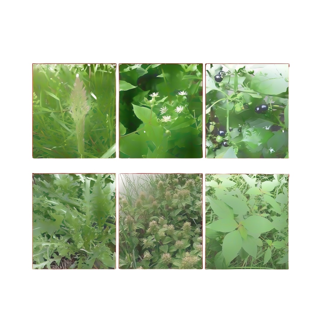 Jardin 95% Nommé Phosate