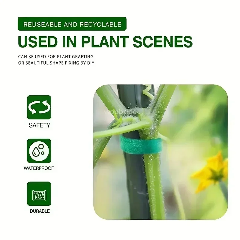 Bandes de ruban de fixation réutilisables pour plantes, auto-adhésif, câble en nylon vert, crochet réglable, support de boucle, ficelle de jardin