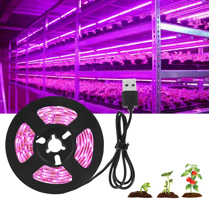 Clearance_Growing Lights, Parts & Accessories_Continuous updates