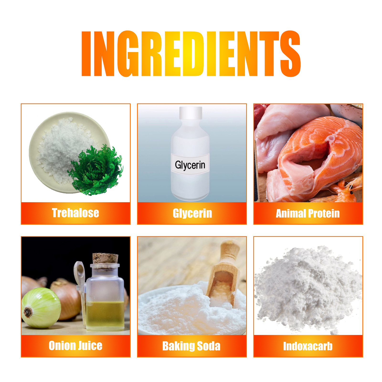 Jue-Fish Gel per esca per scarafaggi per pulire la cucina interna Esca per scarafaggi per uso domestico