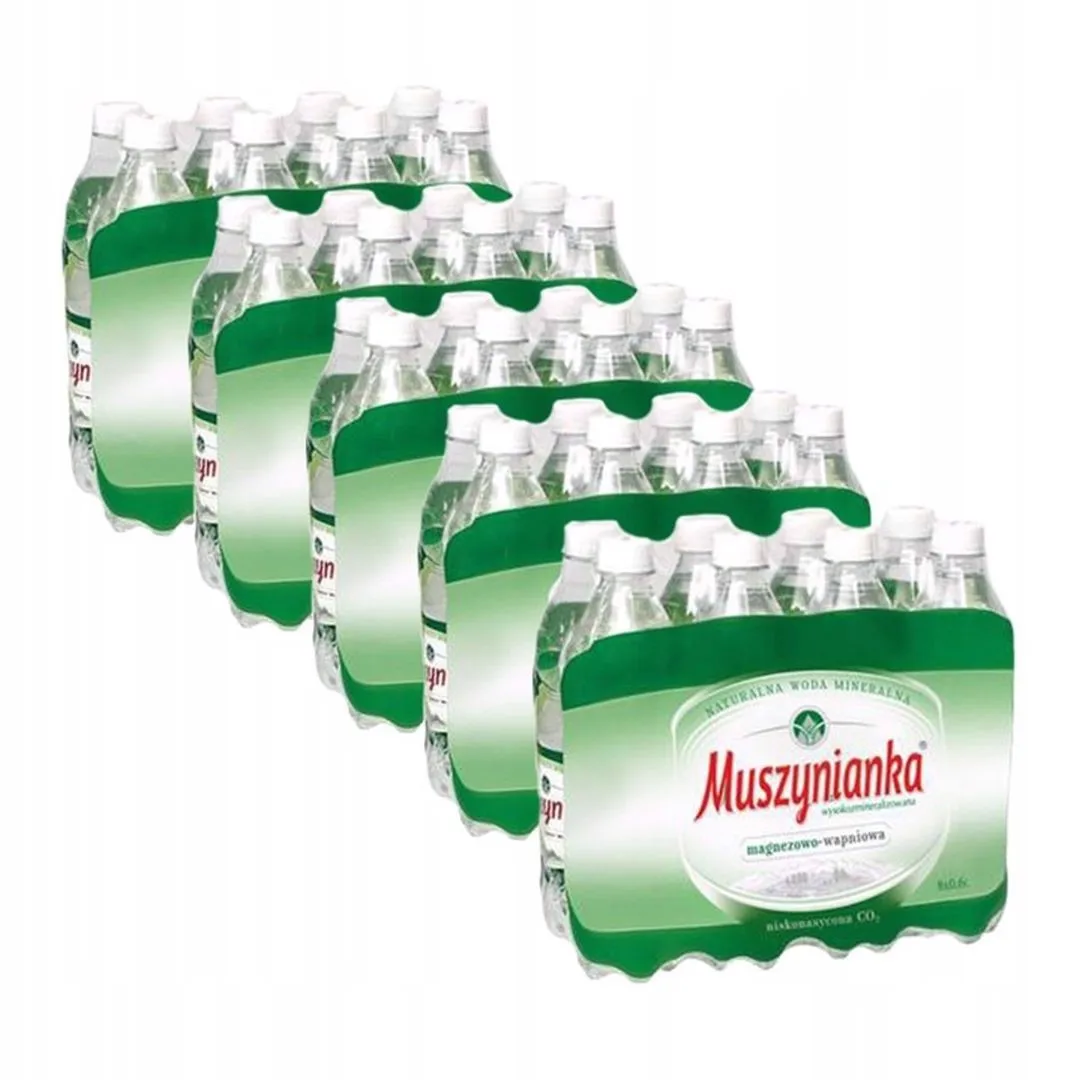 Muszynianka plus Naturalna woda mineralna wysokozmineralizowana niskonasycona CO2 0,6 l x 40 sztuk