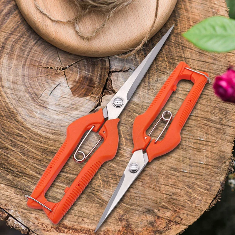 องุ่นกรรไกรกรรไกรตัดแต่งกิ่งสวนเครื่องมือผัก Patch Bonsai Professional Joinery สแตนเลสหยิบผลไม้ล็อค