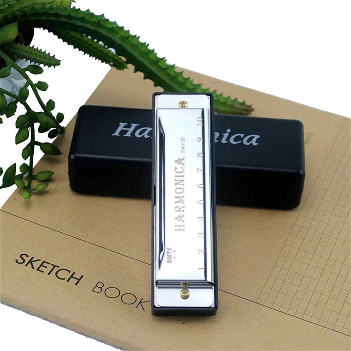 Miwayer 10 Holes Harmonica Key of C ,  Colorful Metal Shell  with Case for Beginner Students Kids Gift with Case