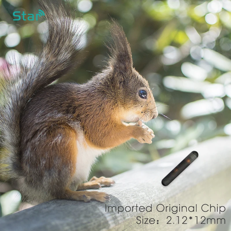 ISO11784 FDX-B 2.12x12mm microchip para cães e gatos, seringa para animais de estimação, implante de identificação, chip para animais de estimação, agulha, injetor rfid, etiqueta PIT para cães, gatos, peixes