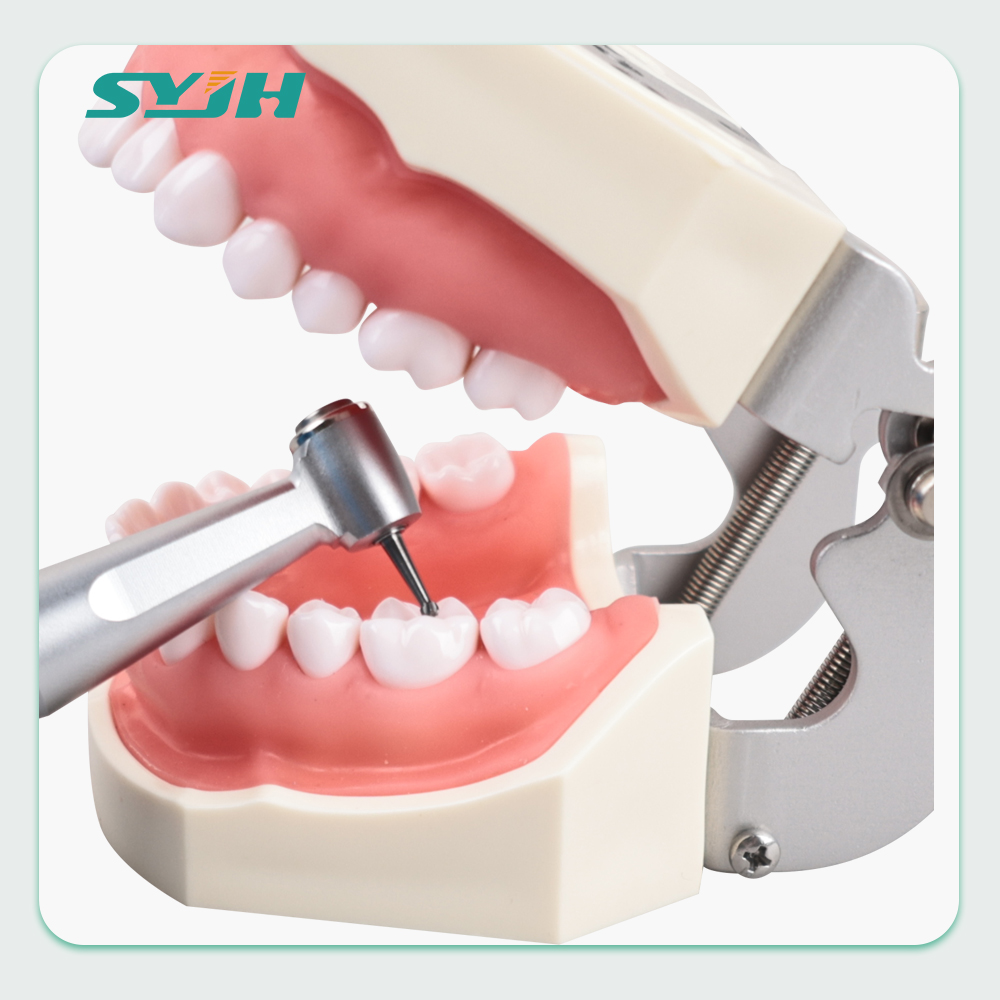 ชุดเครื่องมือขัดฟันทรงกลมทังสเตนคาร์ไบด์สำหรับ Dia.2.35mm ความเร็วต่ำชุดเครื่องมือขัดฟัน5ชิ้น/กล่อง