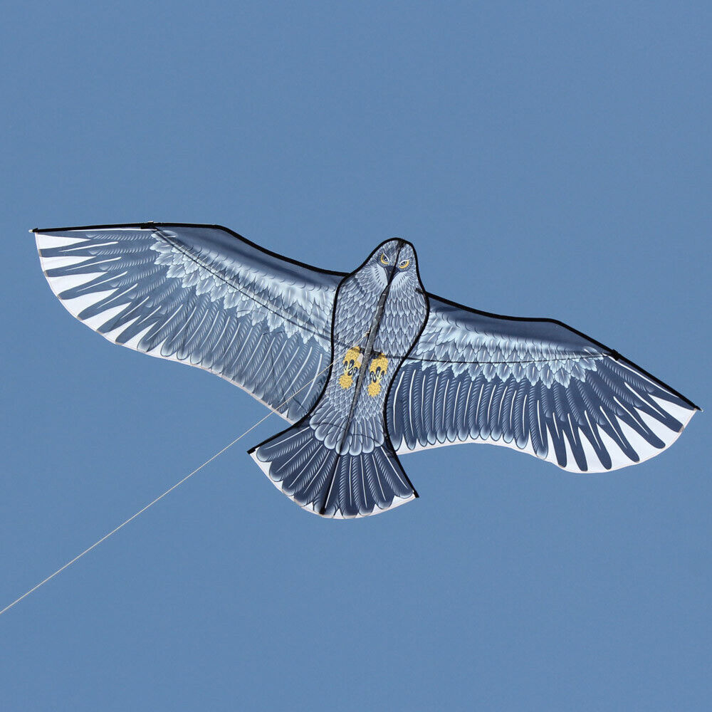 NEU eingetroffen: Outdoor Fun Sports 59-Zoll-Adlerdrachen mit Griff und Leine für Kinder oder Erwachsene, gut fliegend