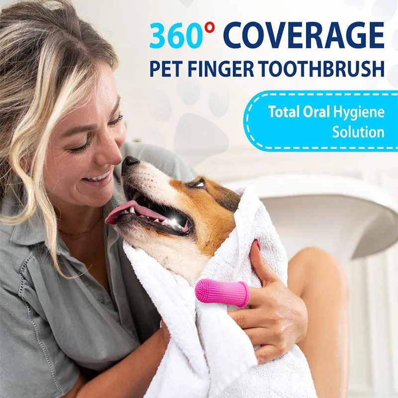 Interaktives Start training Katzen spielzeug kreative Kätzchen Mini Pompons Spiele Stretch Plüsch Ball Spielzeug Katze liefert Haustier Zubehör