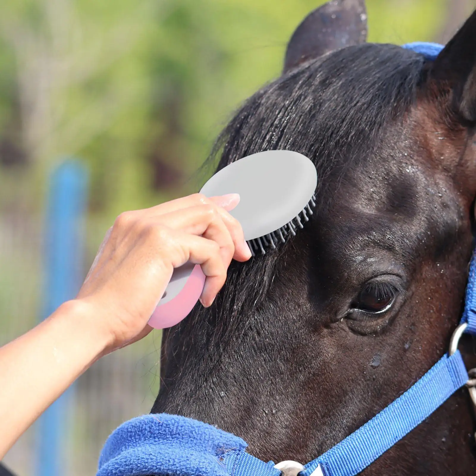 Pferd Mähne Schwanz Pinsel Runde Geformte Weiche Gummi Griff Nadel Borsten Stabile Reinigung Kit Pferd Pflege Pinsel Pferd Pinsel
