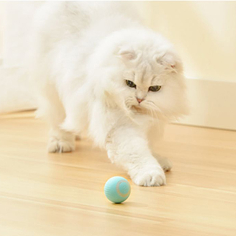Automatic Moving Cats Toy Interactive Ball Rechargeable Rolling Electric Ball Home Pet Accessories Things for Supplies